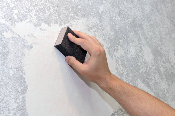 Best HVAC Mold Inspection and Cleaning  in Sto Brook University, NY