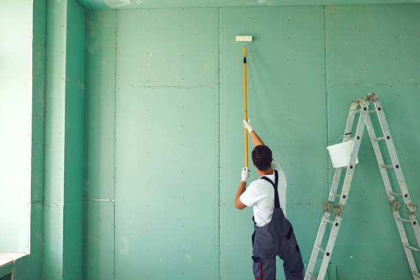Best Attic Mold Removal  in Sto Brook University, NY