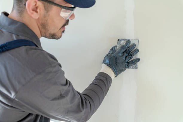 Best Forensic Mold Investigation  in Sto Brook University, NY