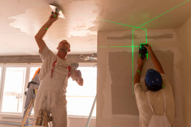 Best Industrial Mold Remediation  in Sto Brook University, NY