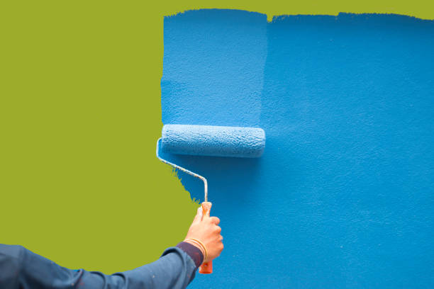 Best Mold Damage Restoration  in Sto Brook University, NY
